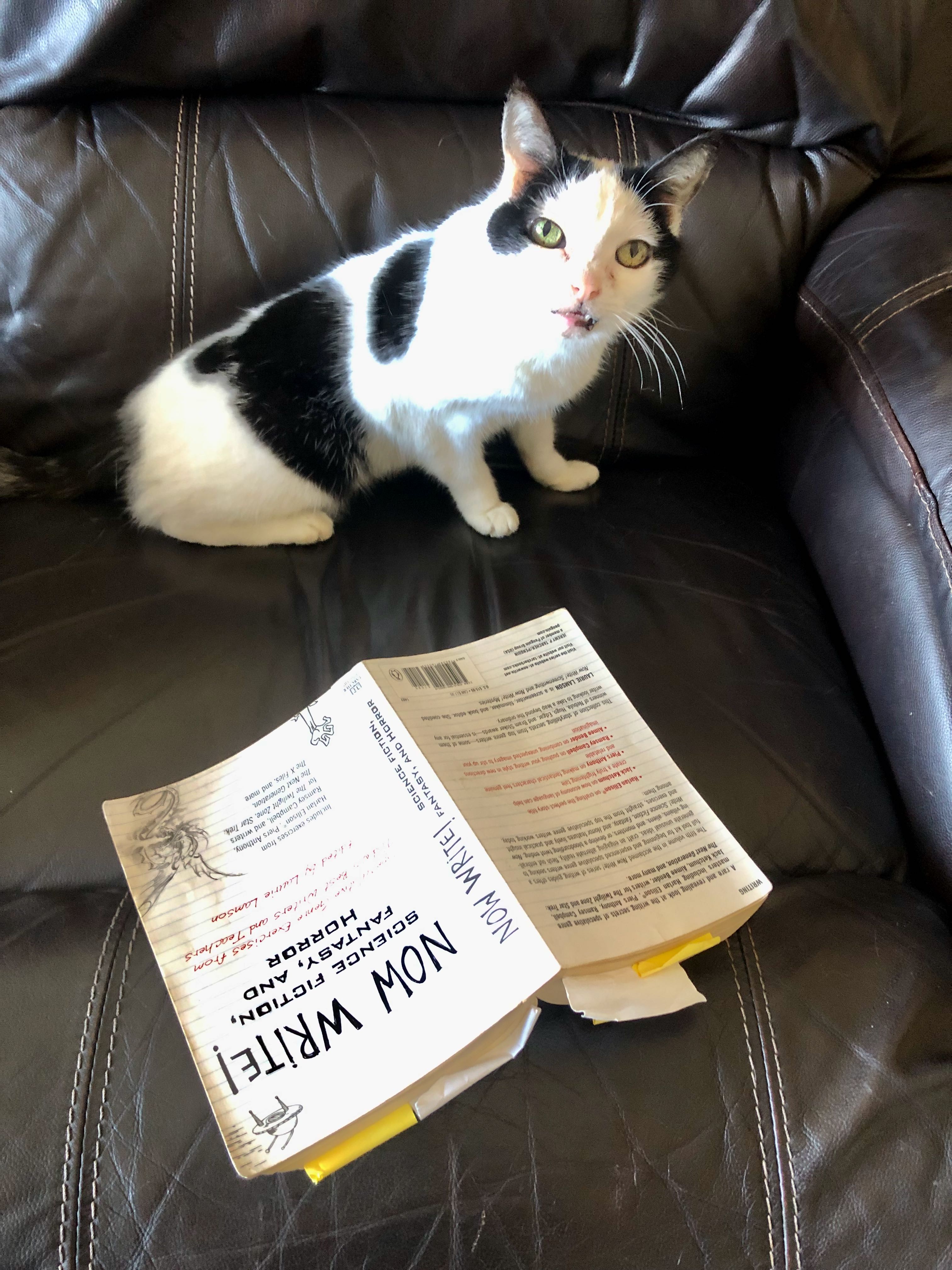 Now Write! Science Fiction, Fantasy, and Horror